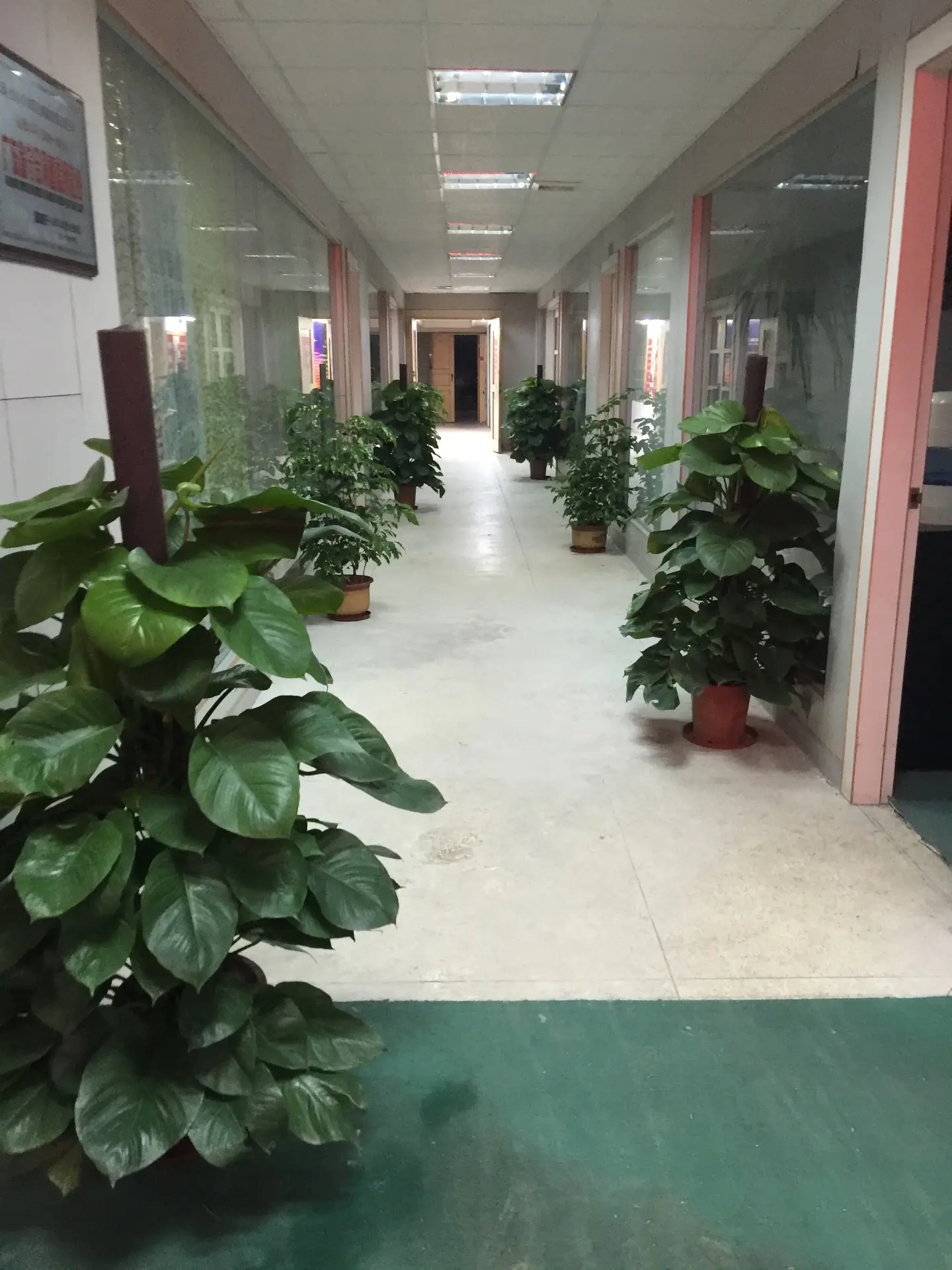 Company Image-2
