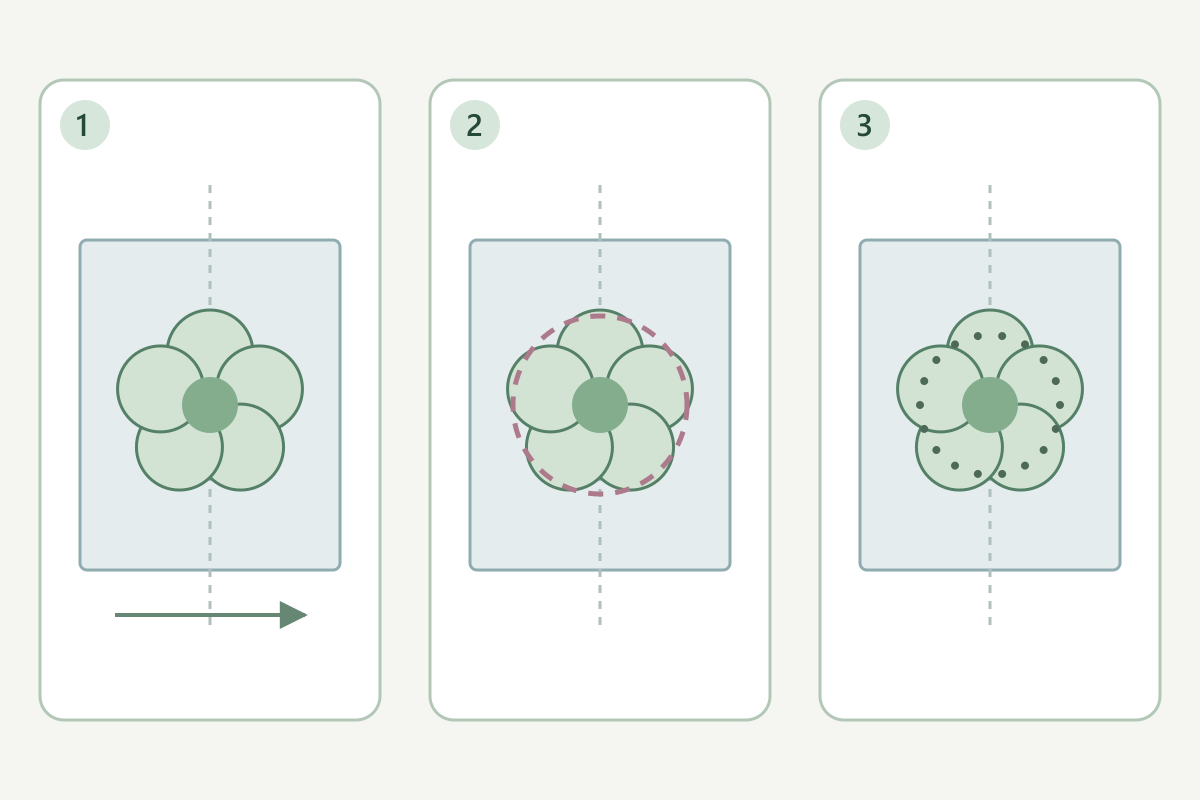 Three-stage diagram of lace appliqué placement, temporary basting and attachment