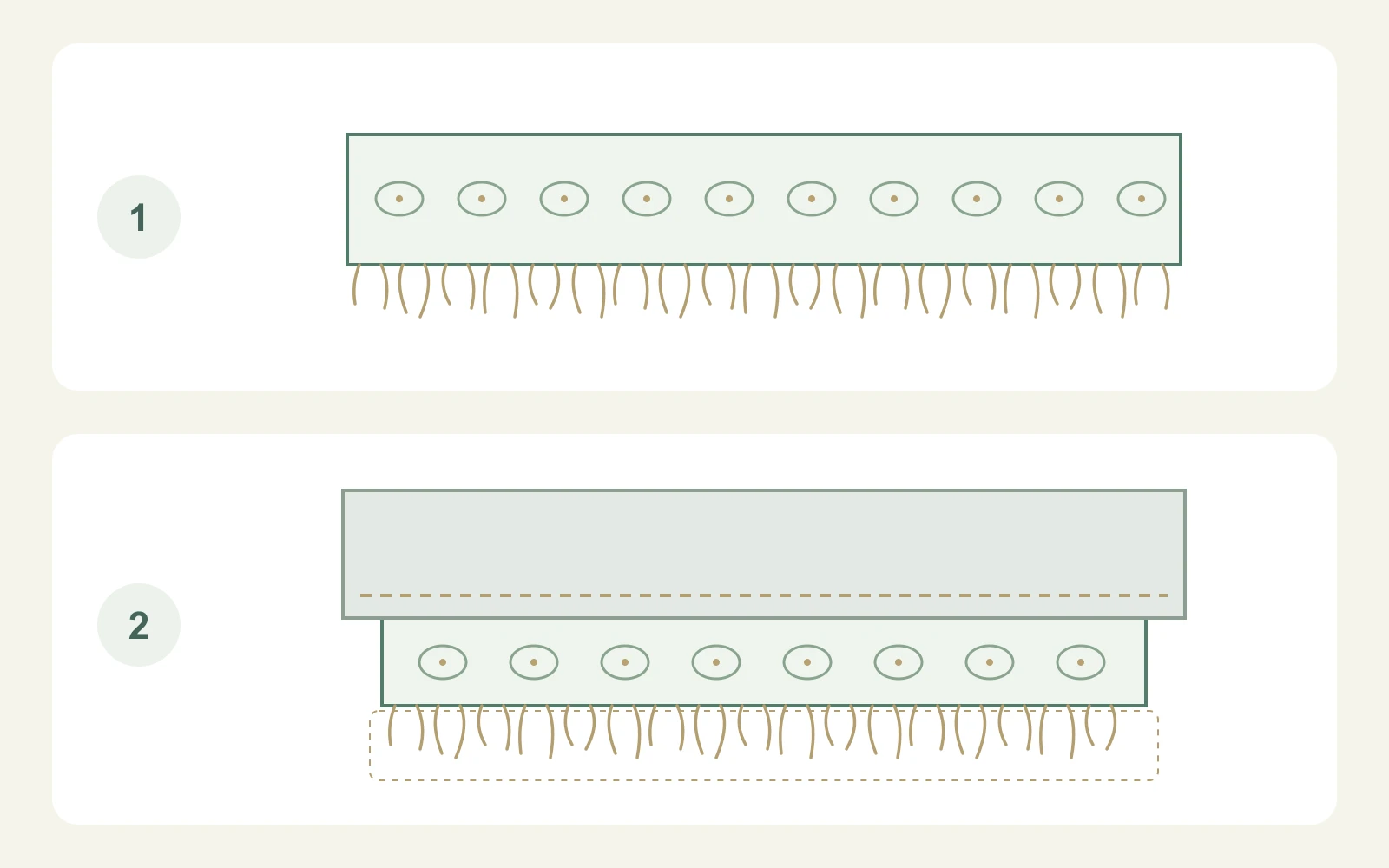 Diagram separating a lace body, fine projecting threads and their exposed placement